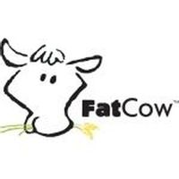 FatCow Hosting coupons